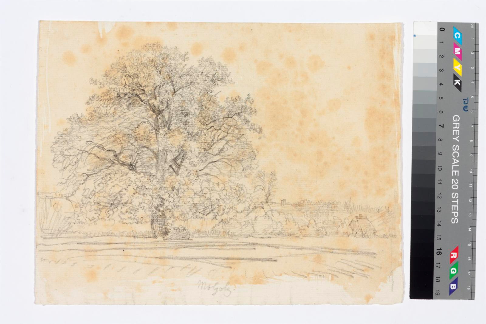 tundmatu kunstnik (autor), Old tree with farm buildings