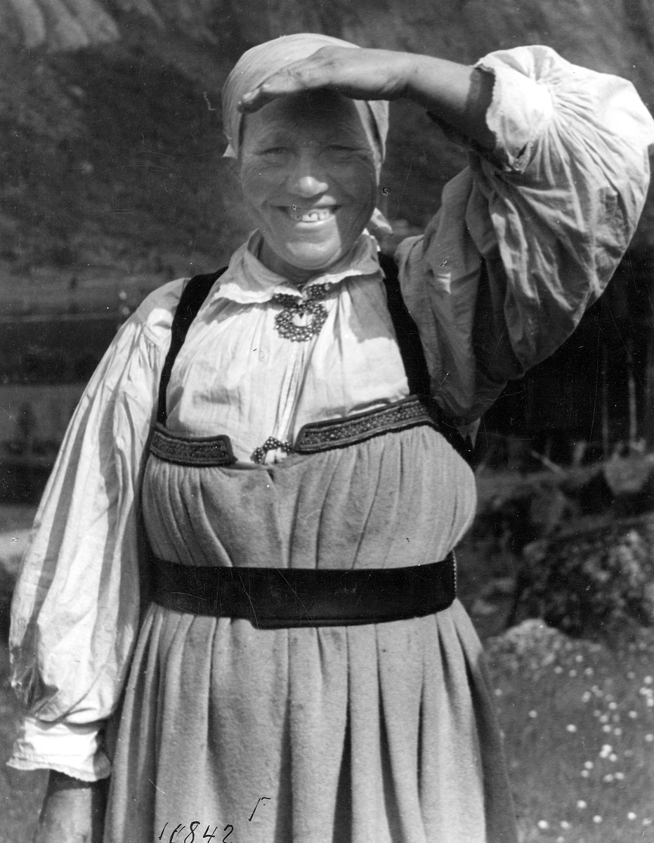 Anders Beer Wilse, Prot: Setesdalskona (feil i prot)