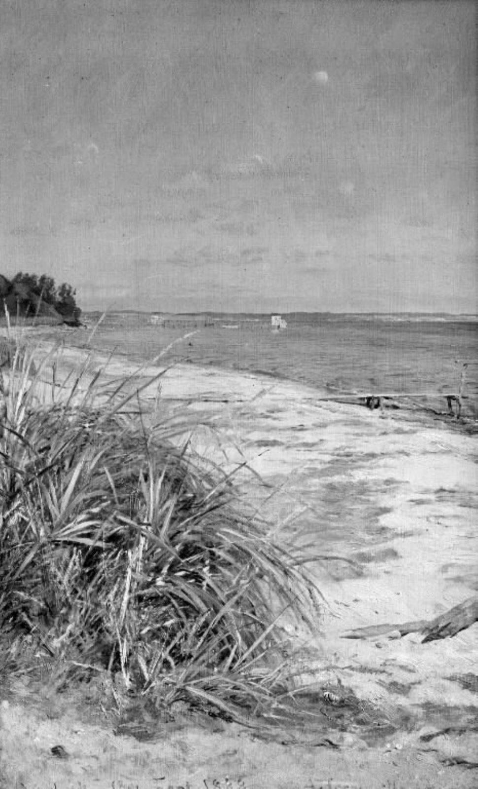 August Jerndorff, Strandparti ved Vedbæk