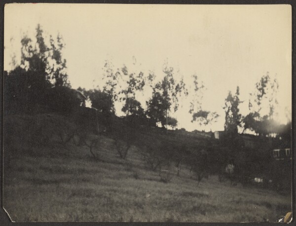 Louis Fleckenstein, [Landscape with Spindly Trees]