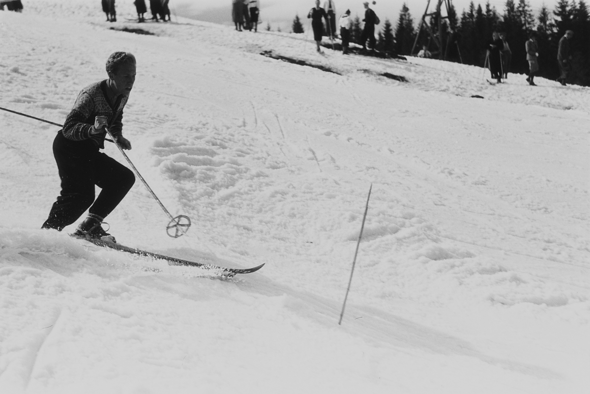 Anders Beer Wilse, Prot: Slalum