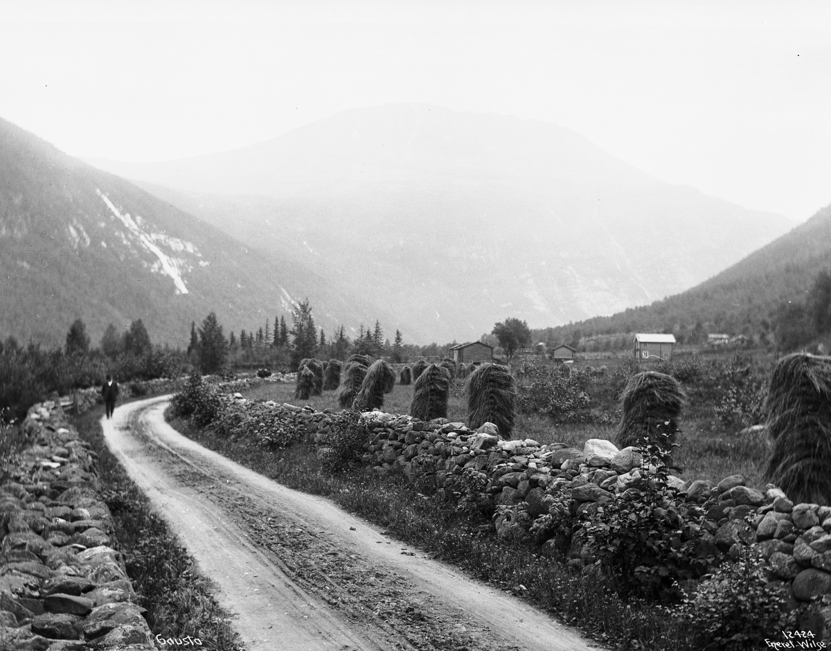 Anders Beer Wilse, Prot: Vestfjorddalen Gaustad med Veiparti 5/9 1910