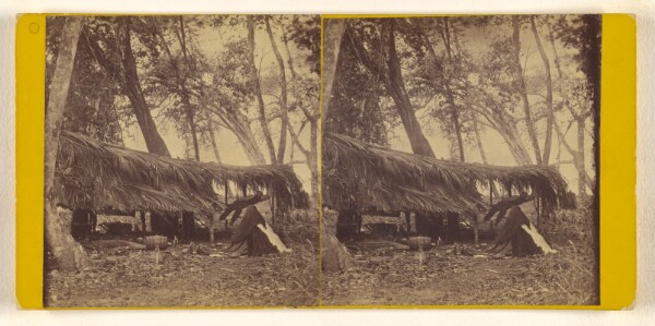 Timothy H. O'Sullivan, [Rear view of the Telegraph Office, at Neipsie point. Calidonia Bay, U.S. Darien Expedition]