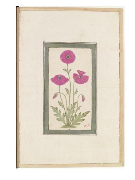 Unknown, Painting