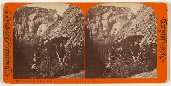 Charles Bierstadt, View from Top of Vernal Falls.