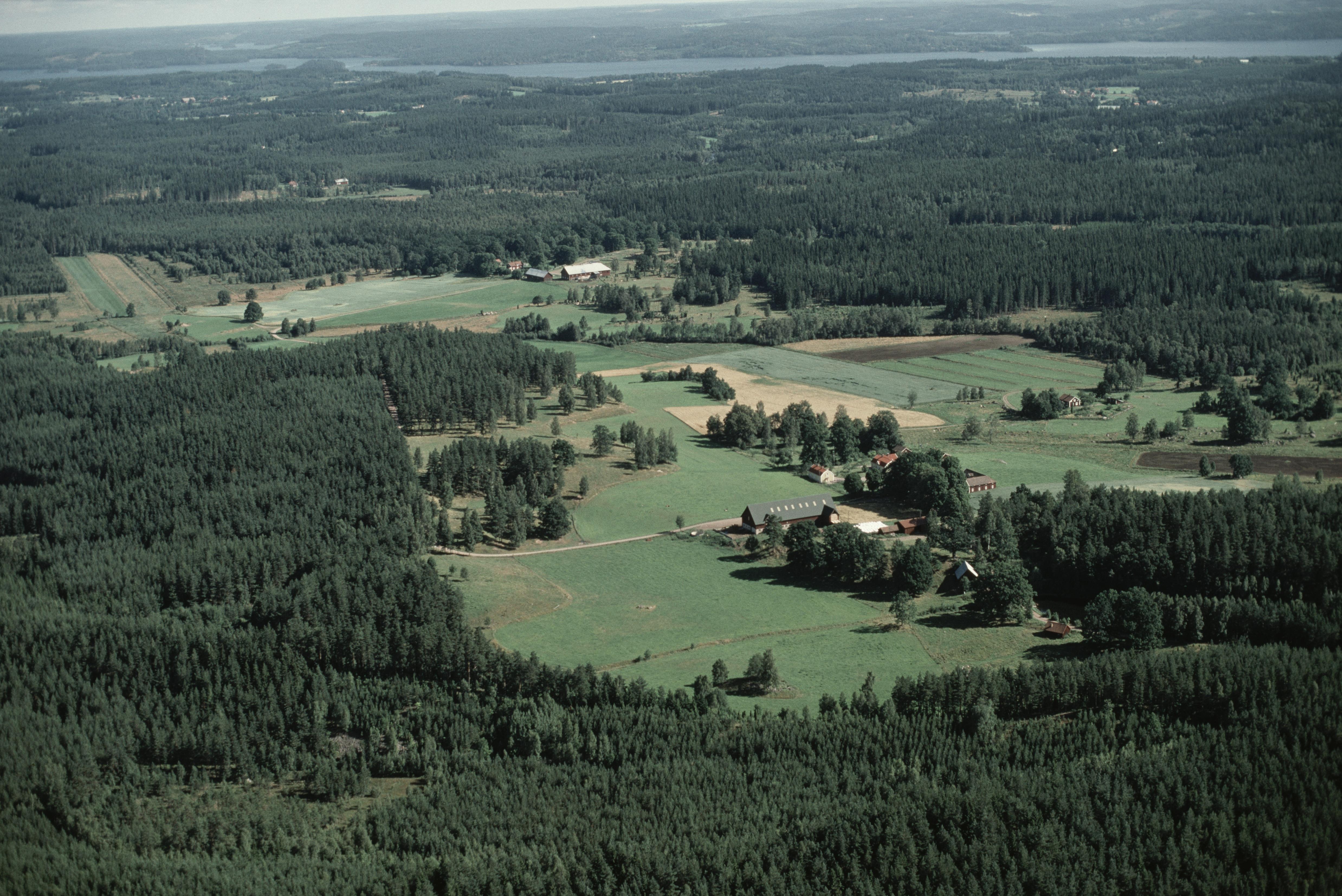 Jan Norrman, Sund 145:1