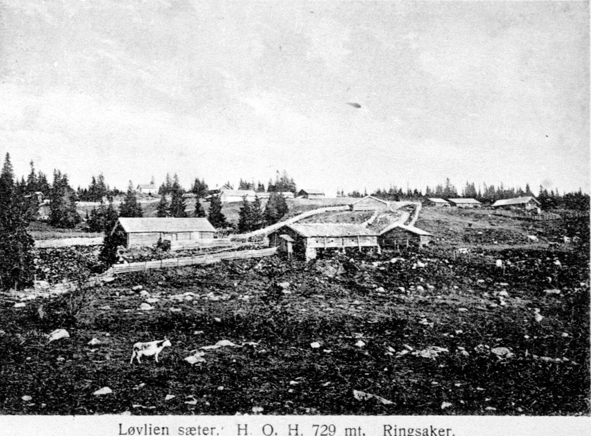 Anno Domkirkeodden, Oversikt, Løvlia seter, Ringsakerfjellet.