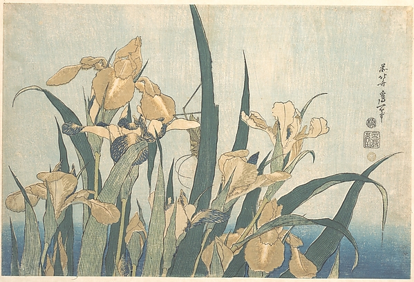 Katsushika Hokusai, Grasshopper and Iris