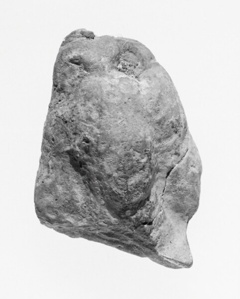 Unknown, Female Head