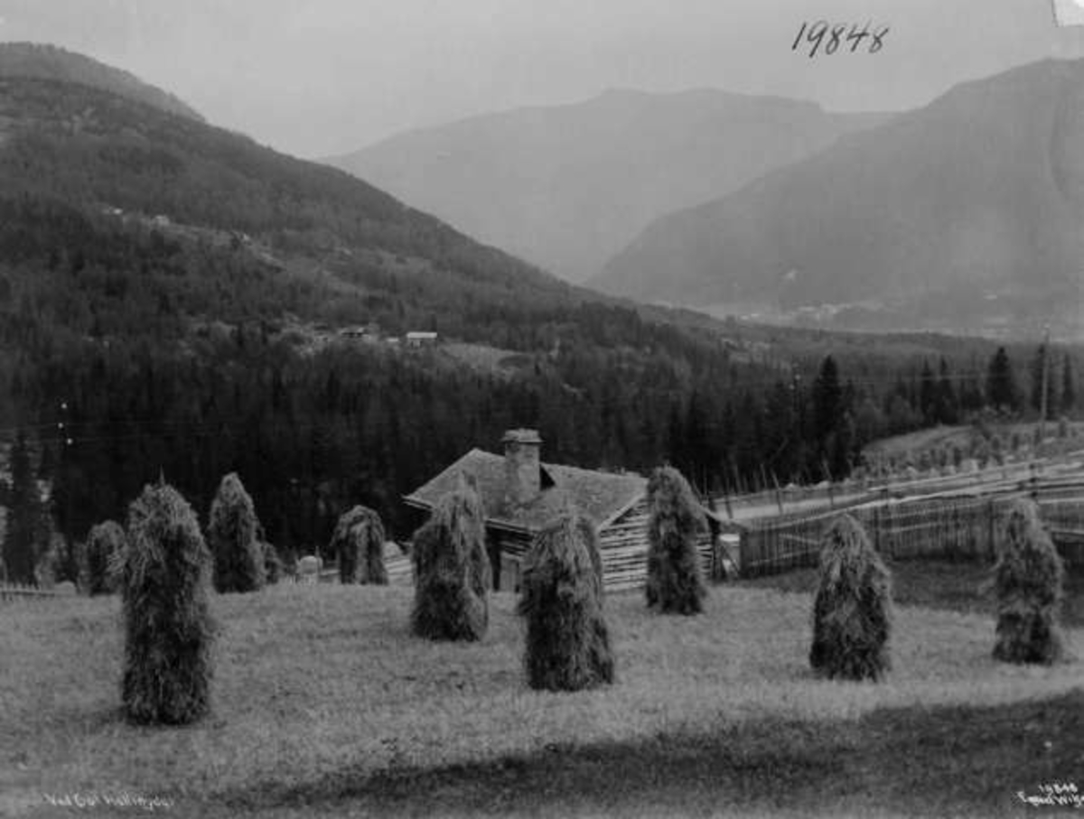 Anders Beer Wilse, -8104