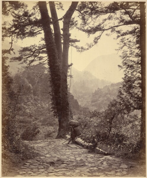 Felice Beato, View of the Hakone Pass