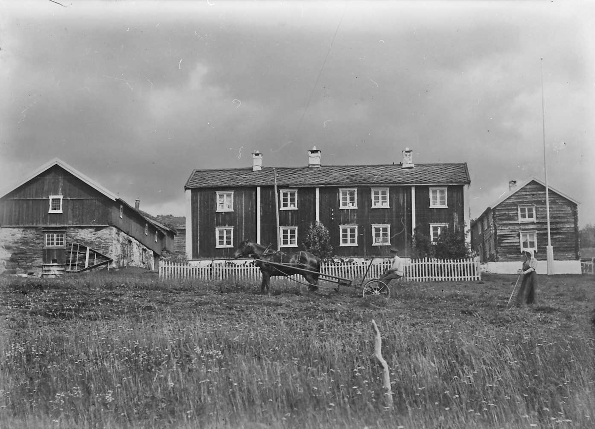 Peder J. Bredalslien, Gardsbruk, Hestslåmaskin. Slåttonn