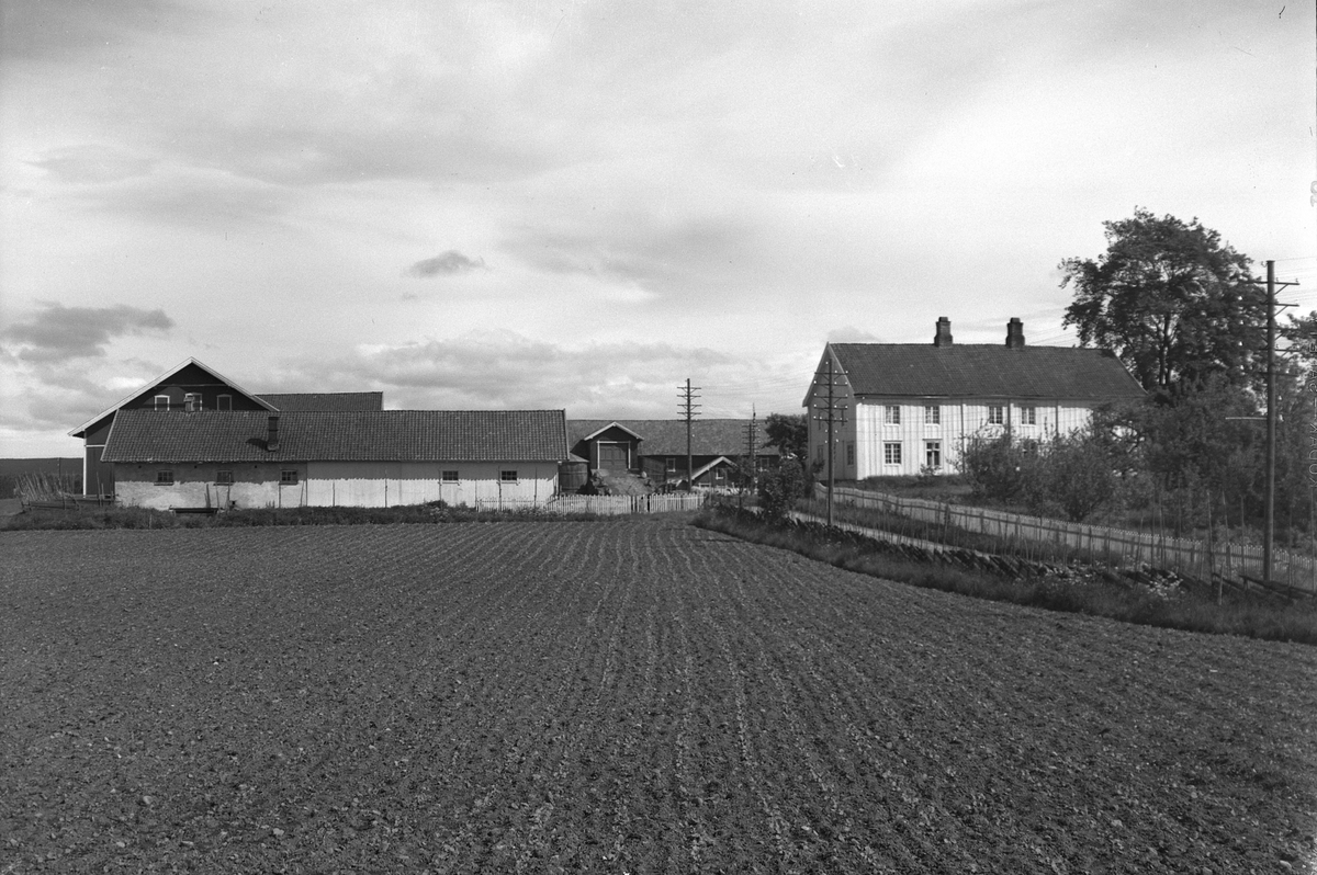 Anno Domkirkeodden, EKSTR: GARDSTUN, SIGSTAD MED LIVENLØKKEN. Se Løtenboka, Bygdebok fra 1953 bind 2. side 405