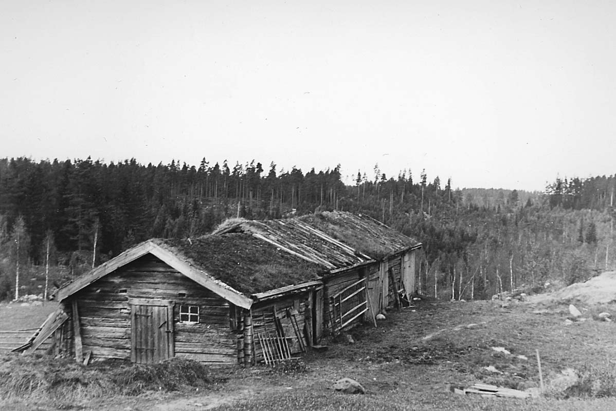 Eric von Rosen, Uthuslänga in Trösslingstorp.