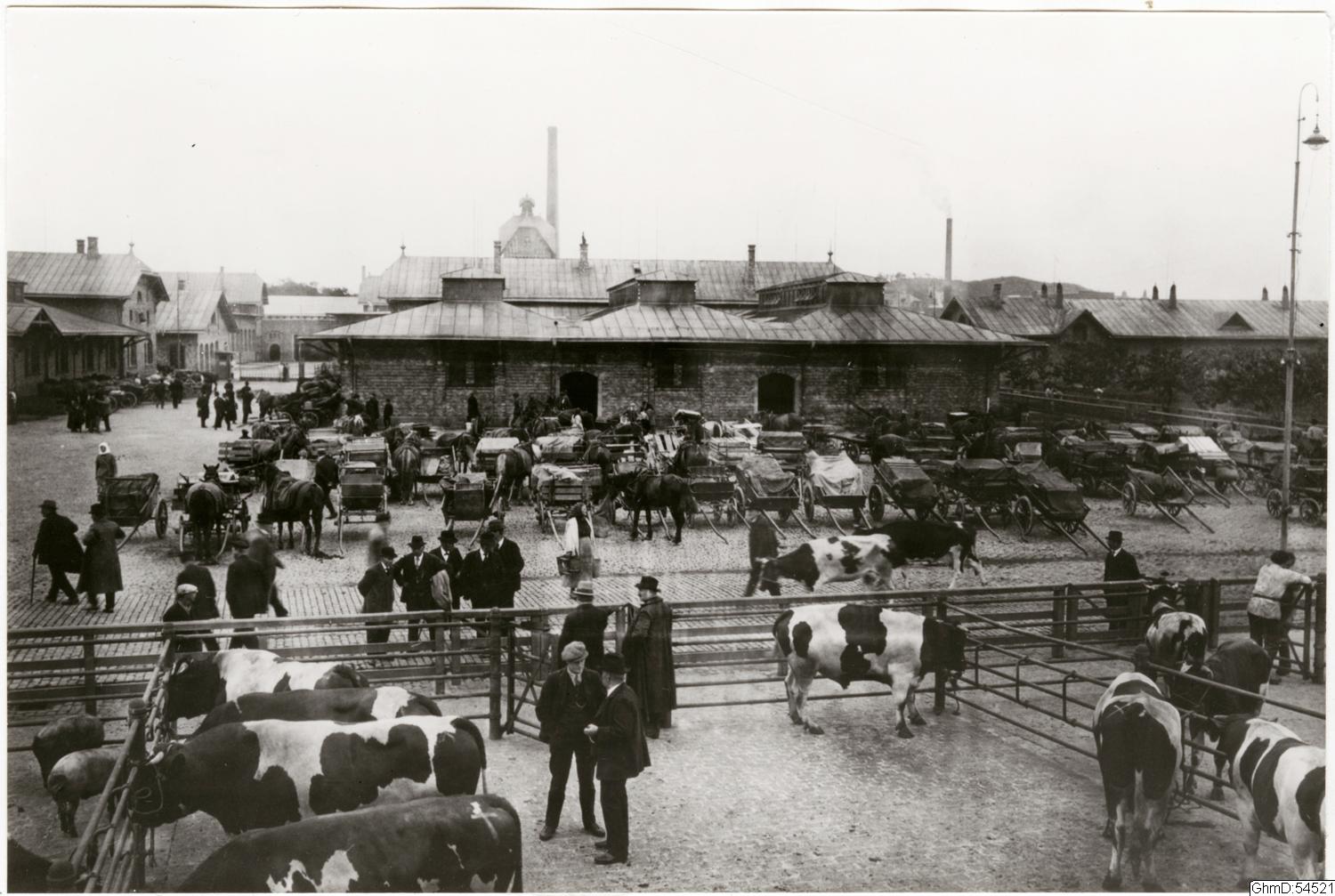 Anders Wilhelm Karnell, bilder, bilder , fotografi, påsiktsbild