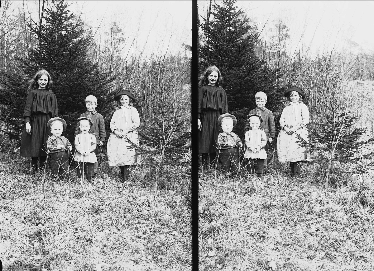 Axel Quinsgaard Wiborg, Gruppeportrett av fem søsken Q. Wiborg i krattskogen, Digerud, Frogn, Akershus, 1906. Fra venstre ant. Karen, Thor, Halvor Nicolai (foran), Axel og Gudrun.