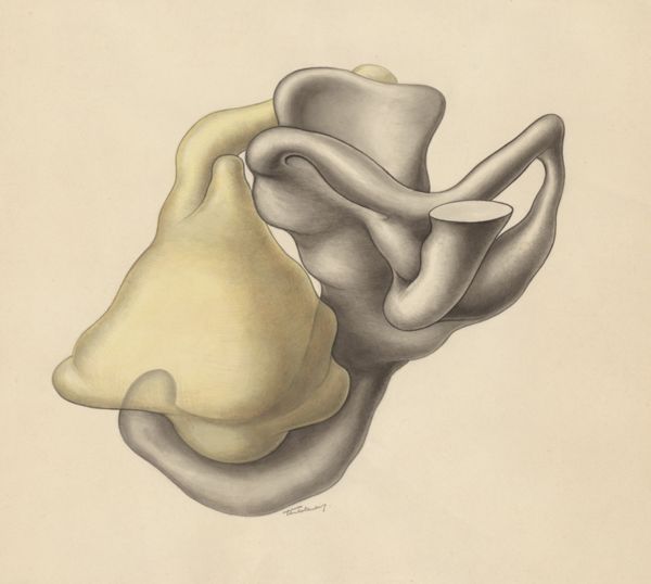 J Tinkelenberg, Tissue/organs of the throat or neck