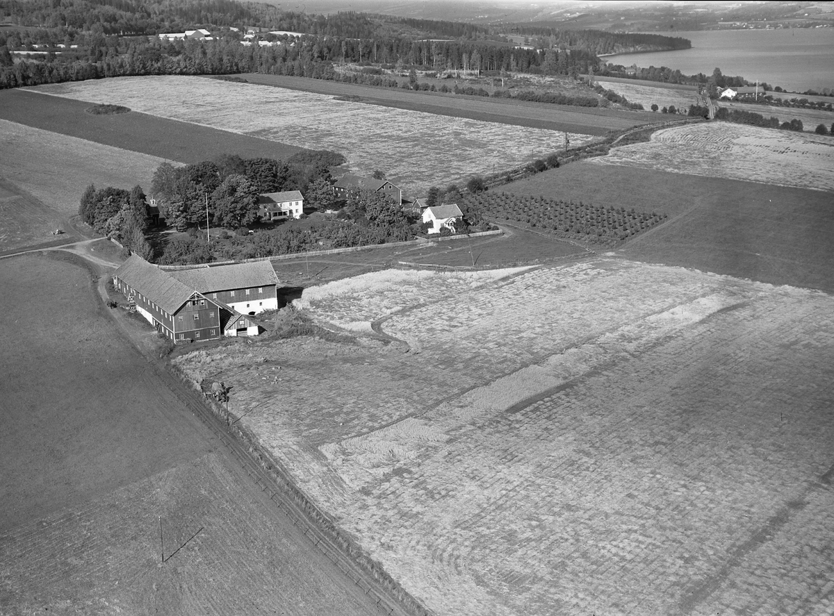 Anno Domkirkeodden, Flyfoto, gardsbruk, Bye, Nes, Hedmark.