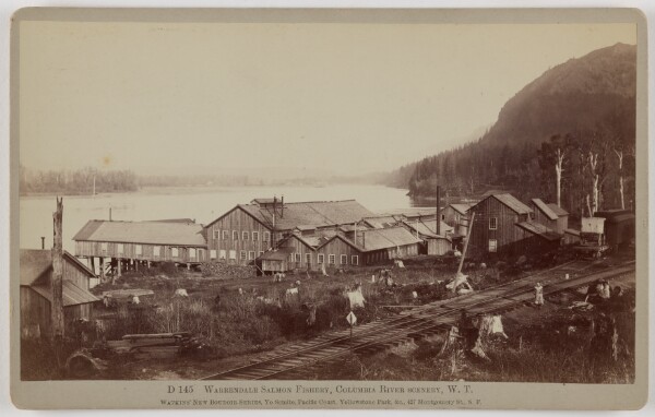 Carleton Watkins, Warrendale Salmon Fishery, Columbia River Scenery, W.T.