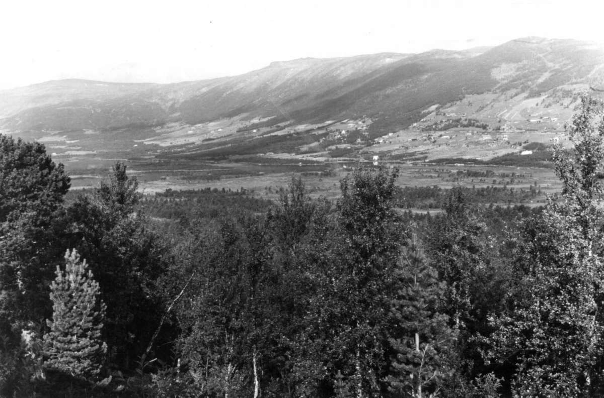 Hermann Christian Neupert, Geilo, Hallingdal. Oversiktsbilde av bygda, skog, åser og fjell. Bebyggelse.