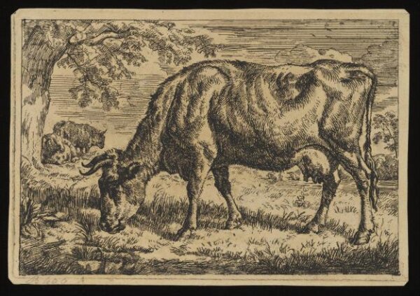 Unknown, Print