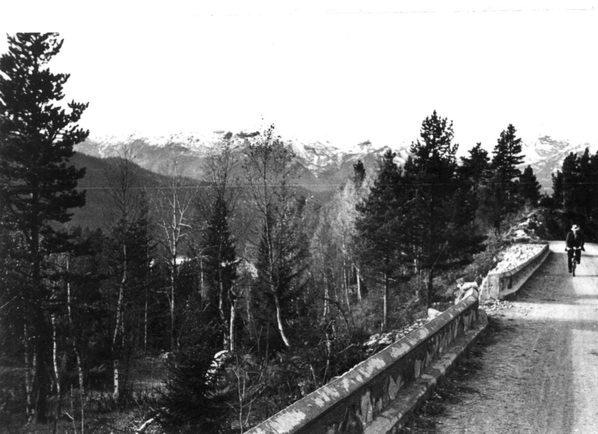 Anna Grostøl, Vinje, Telemark 1941. Oversiktsbilde med syklende person på veien.