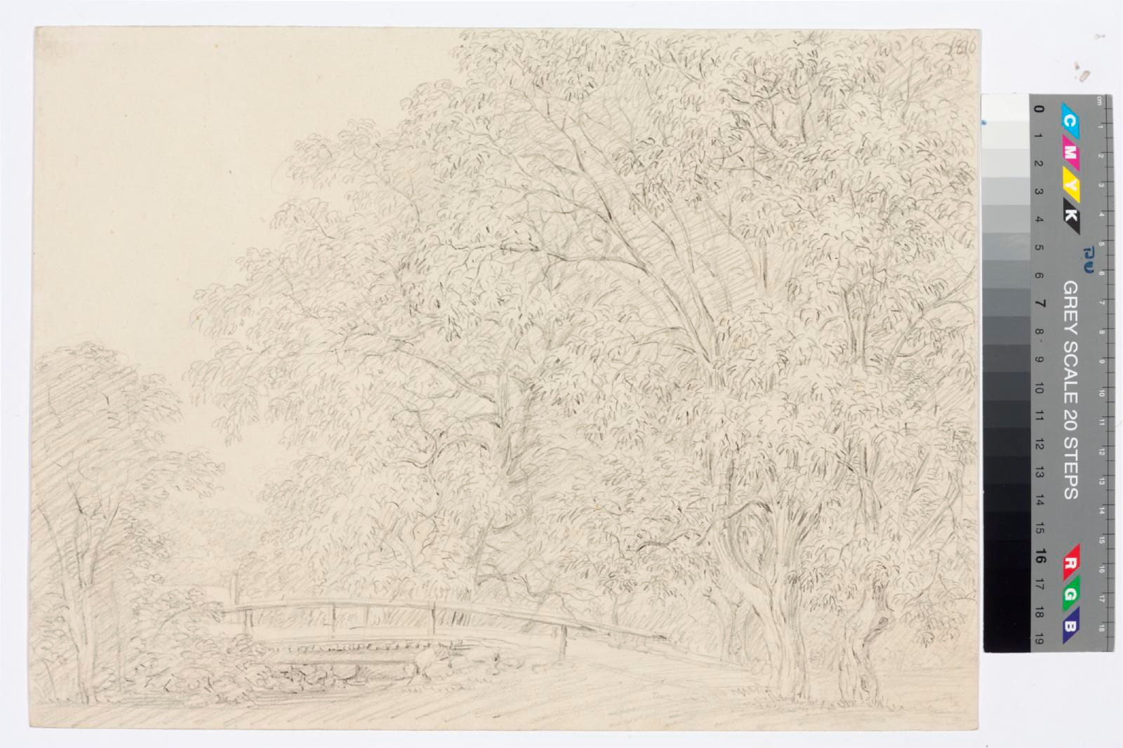 tundmatu kunstnik (autor), Sheet trees with bridge/Sketch of foliage
