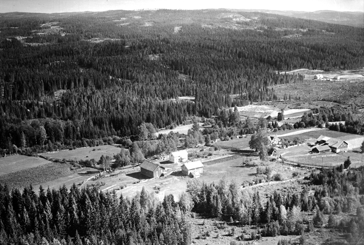 Widerøes Flyveselskap A/S, FLYFOTO Lillehagen, 376/4. Til høyre: Mæhlumsrødningen 376/10. Nærmest i bakgrunnen: Krokstad. Bakerst: Furulund.