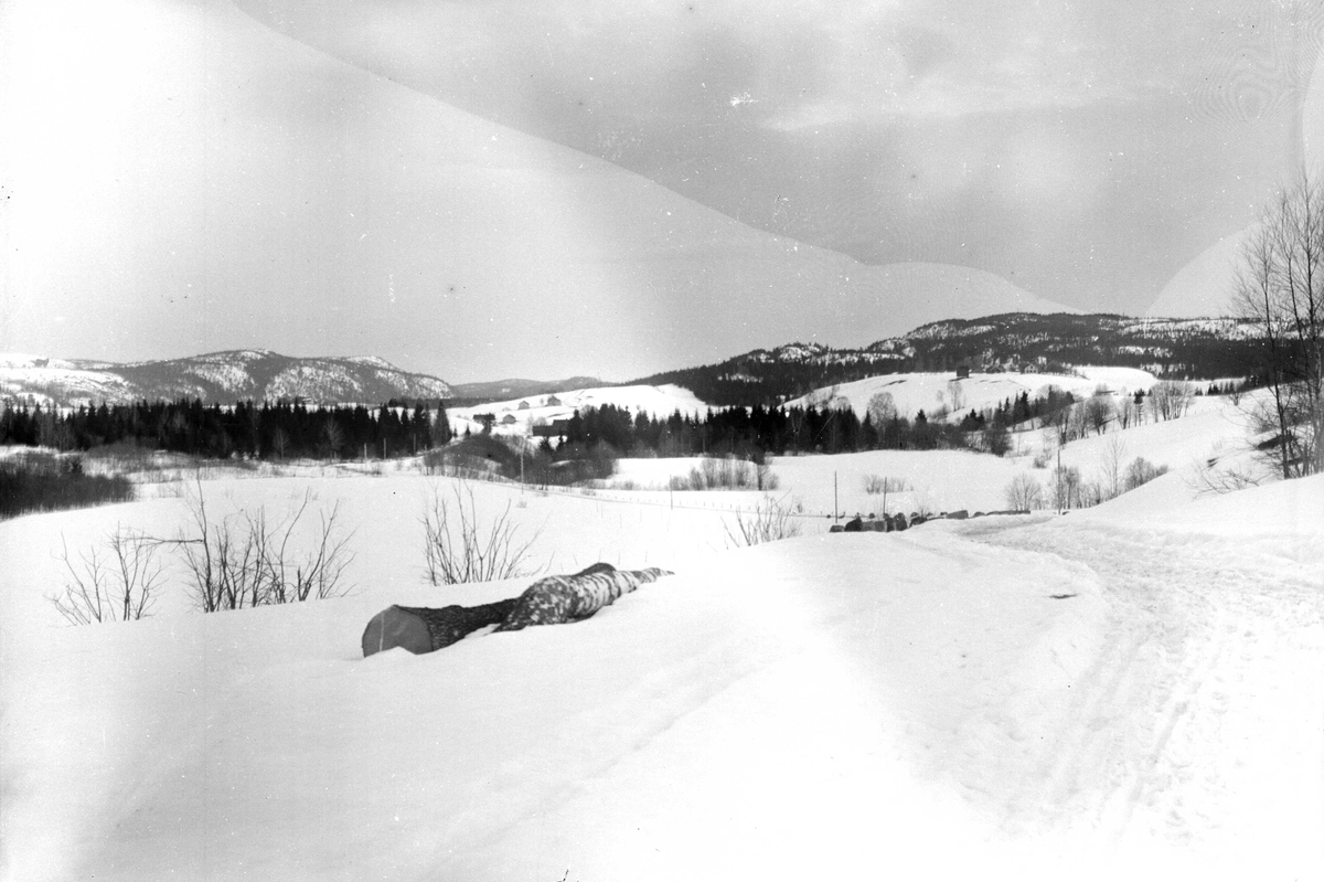 Juliane Fredrikke Langberg, Landskap, fra Hurum eller Rakkestad (ant.), utsyn over landlig område med skog, åpne partier og noe bebyggelse vinterstid. Tømmerstokker i forgrunnen. Fotografens svoger var sokneprest disse stedene. Fra malerinne Juliane Fredrikke Langbergs (1856-1930) samling, tatt ca.1895-1910 med motivkrets sle…