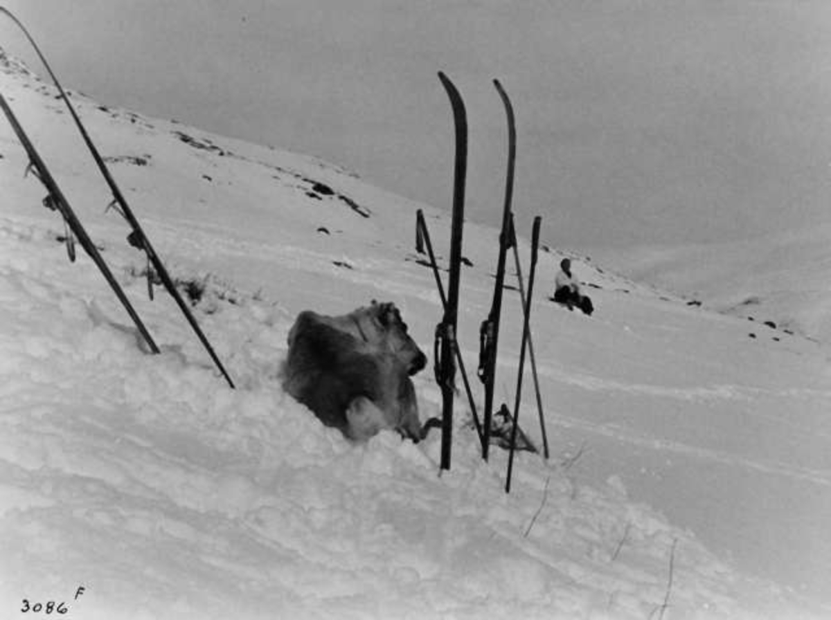 Anders Beer Wilse, -7863