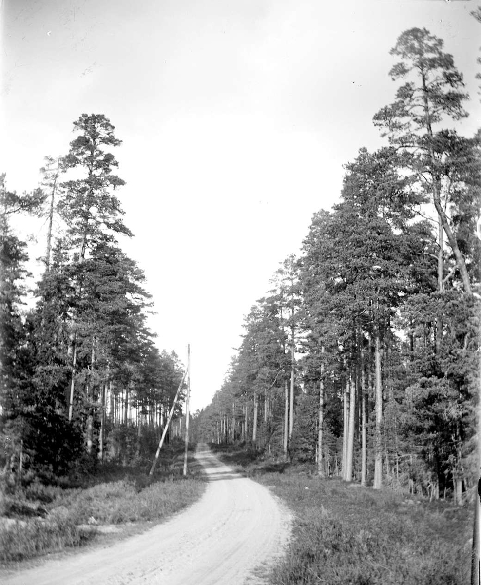August Fredrik Schagerström, "Nora, landsvägen genom Hedåsen s. om Fågelgroparna.", Uppland 1920