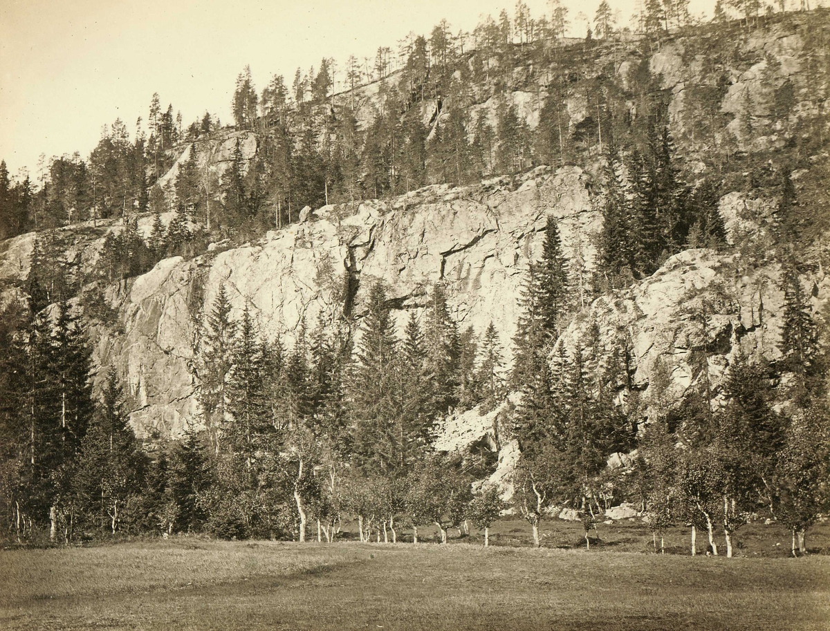 Henry Rosling, Landskap, Tinnoset, Notodden, Telemark. Fra serie norske landskapsfotografier tatt av den engelske fotografen Henry Rosling (1828-1911).