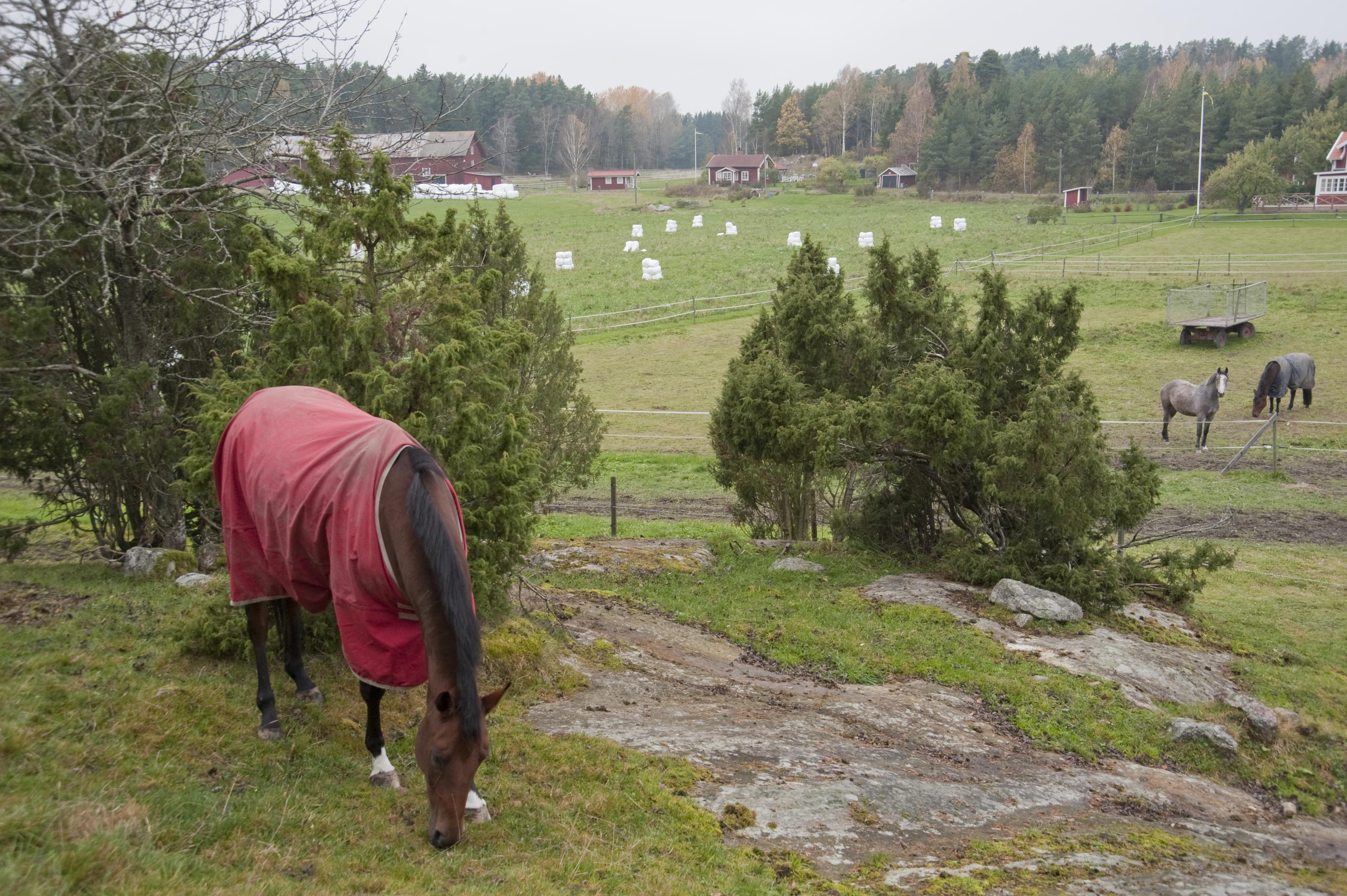 Bengt A Lundberg, Kvilunda gård