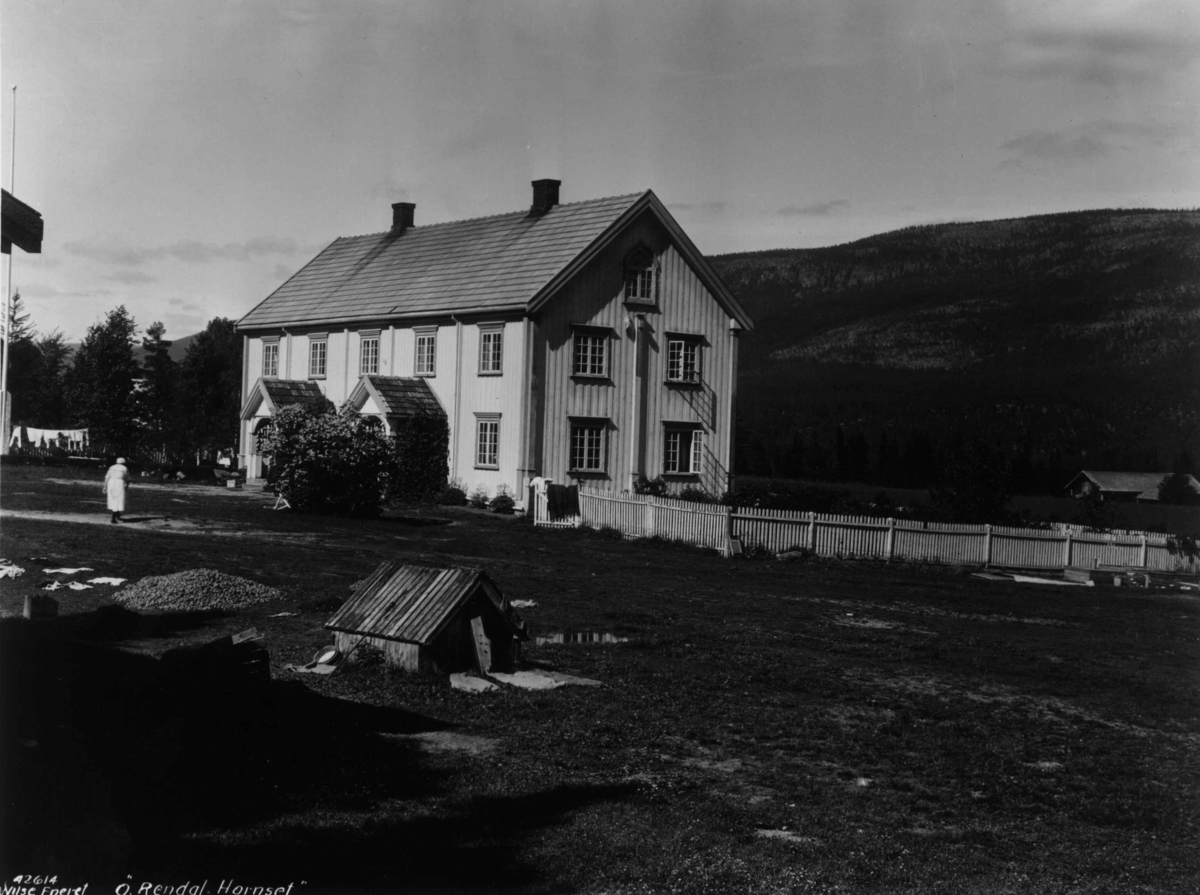 Anders Beer Wilse, Hornset gård