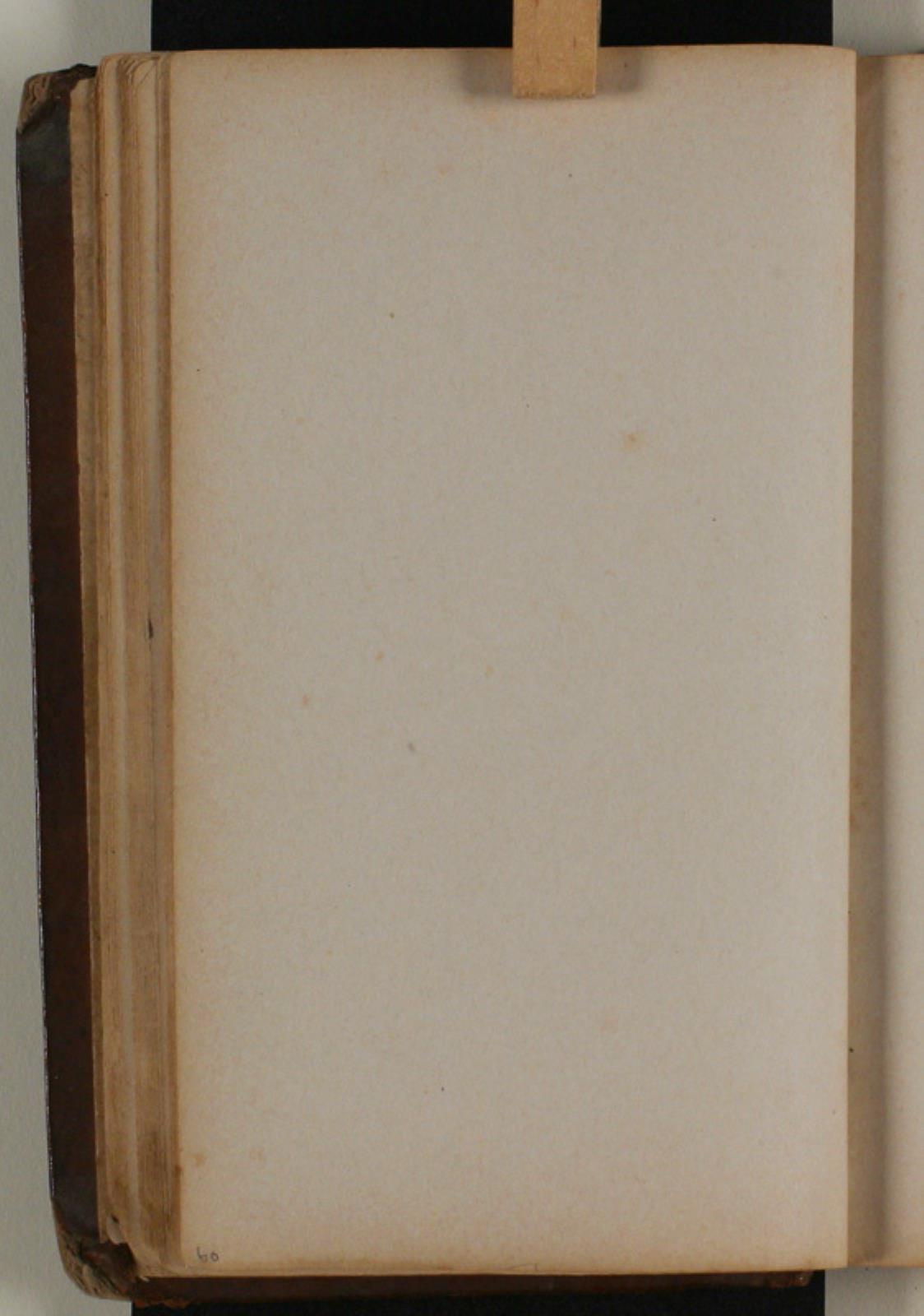 Niels Larsen Stevns, Blank