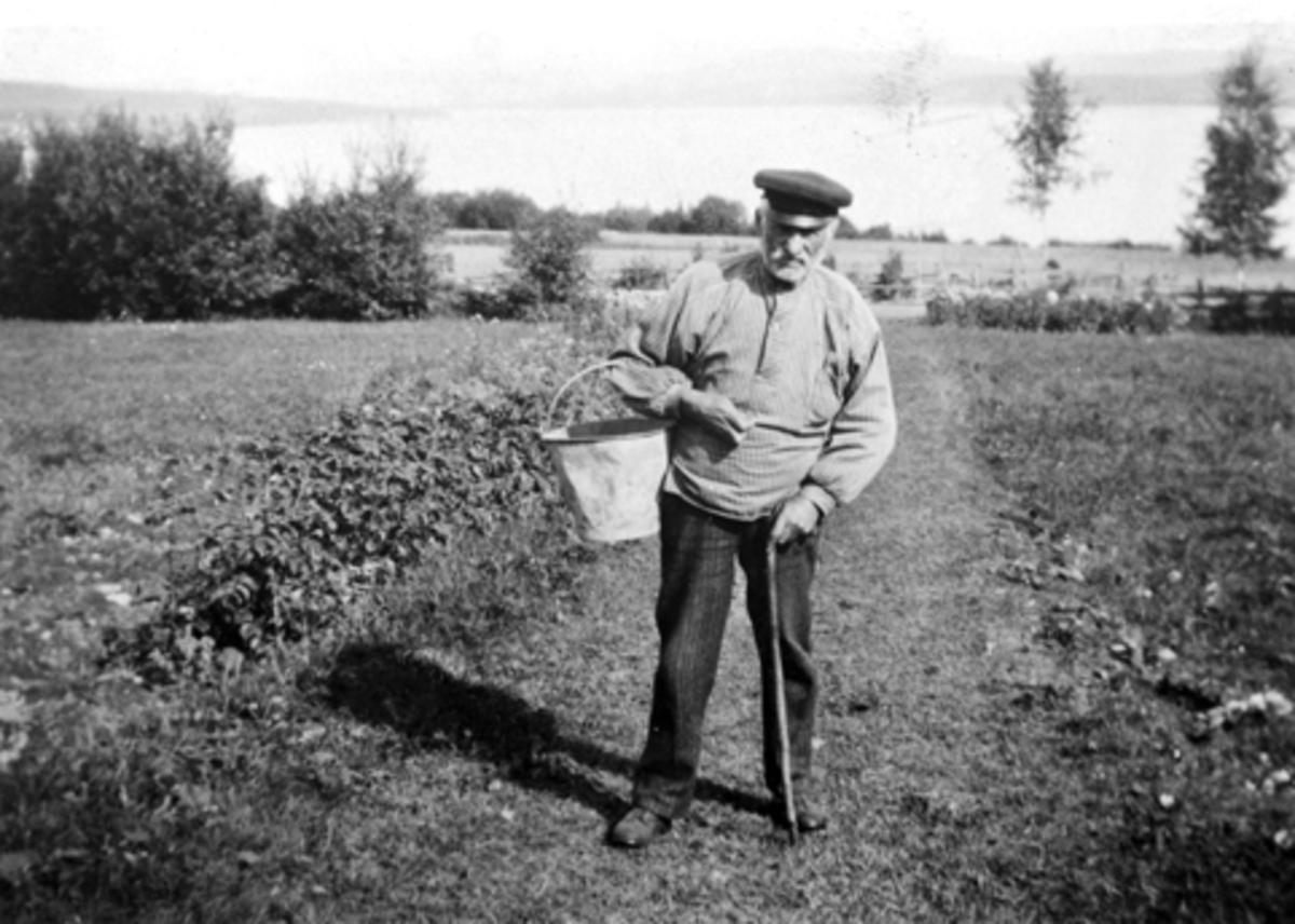 Anno Domkirkeodden, Andreas Rønningen, Helgøya. Født 1854 i Rønningen, Helgøya. Liten plass fradelt Venningrud. Døde på plassen i 1934. Båtbygger og slakter. Hadde forkrøplet høyre hånd etter blodforgiftning.