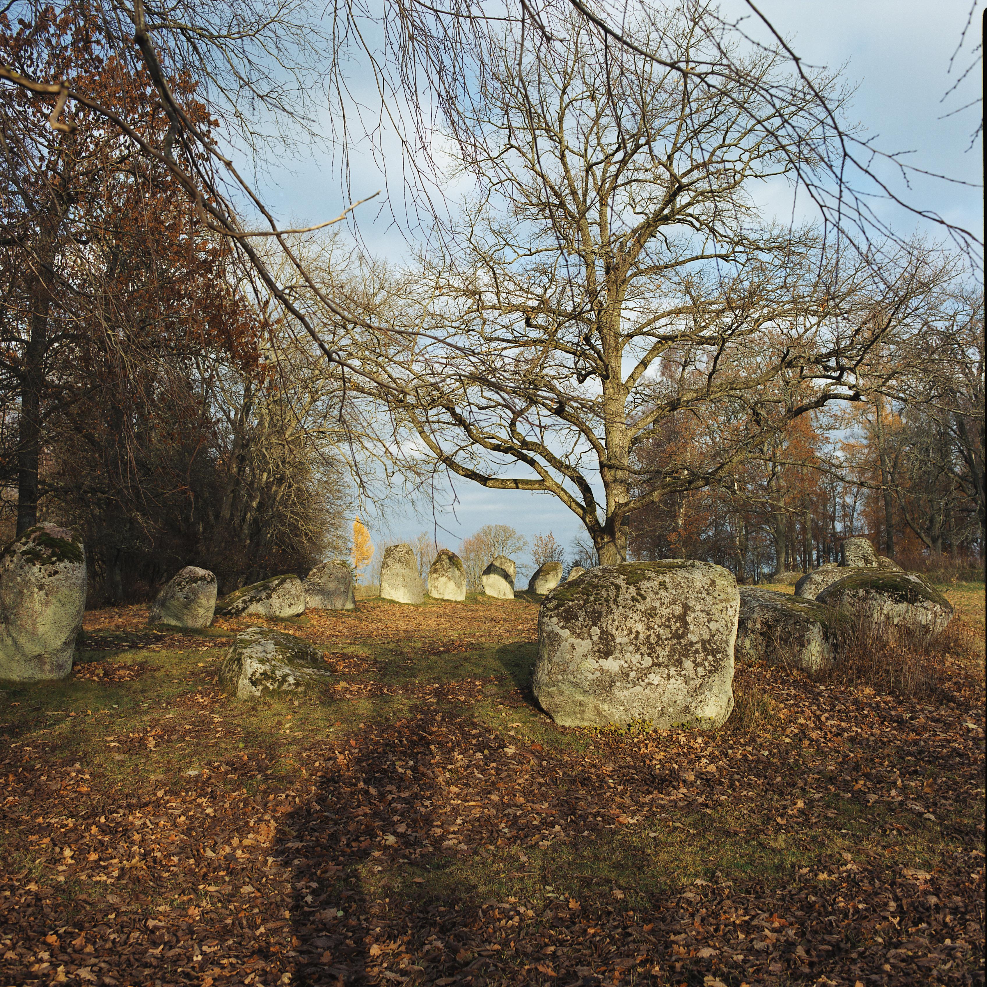 Bengt A Lundberg, Nässja