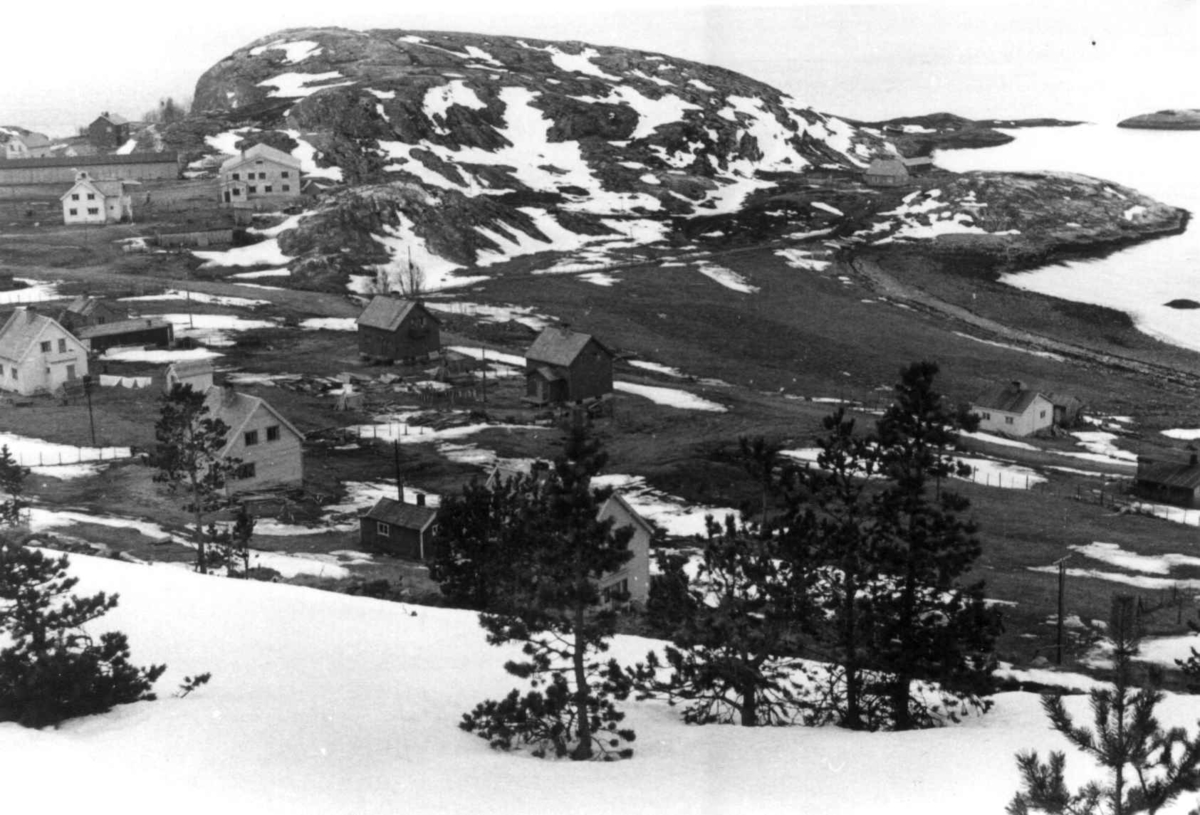 Anna Grostøl, Nielsenberget i Alta. Antagelig 1940-årene.