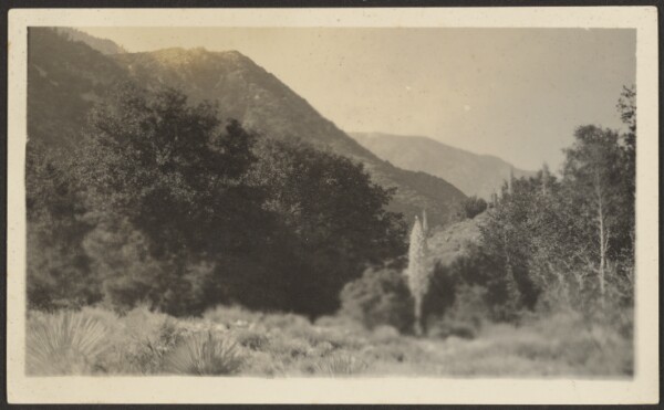 Louis Fleckenstein, [Landscape]