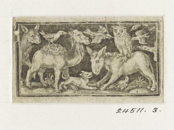Nicolaes de Bruyn, Print
