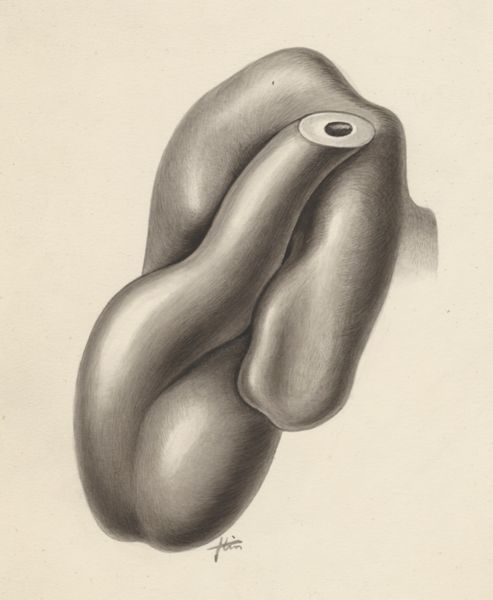 J Tinkelenberg, Part of the heart and circulatory system
