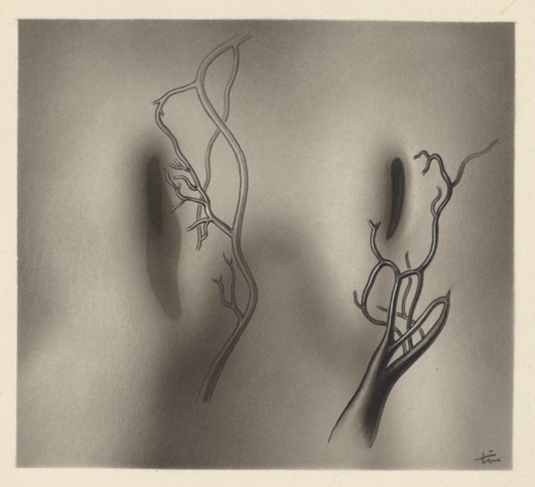 J Tinkelenberg, Cardiovascular system of an embryo