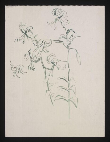Beaton, Cecil (Sir), Drawing