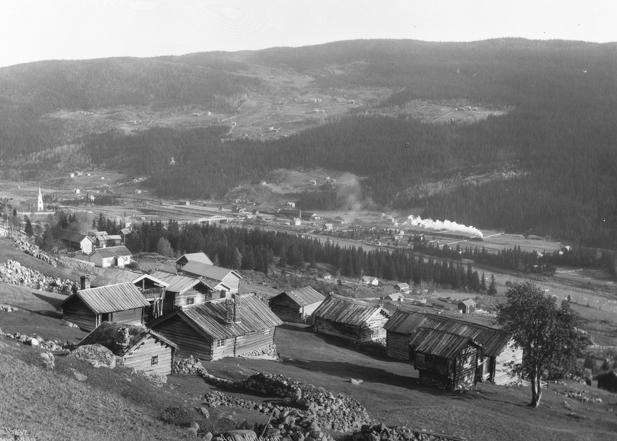 Anders Beer Wilse, Prot: Hallingdal - Oversigt Aal 5/10