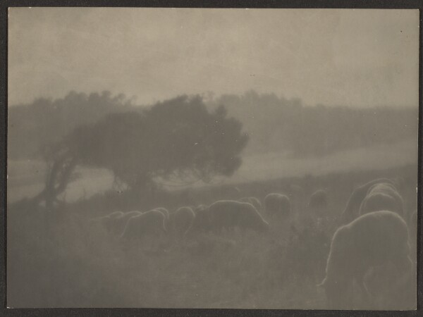 Louis Fleckenstein, [Landscape with Sheep]