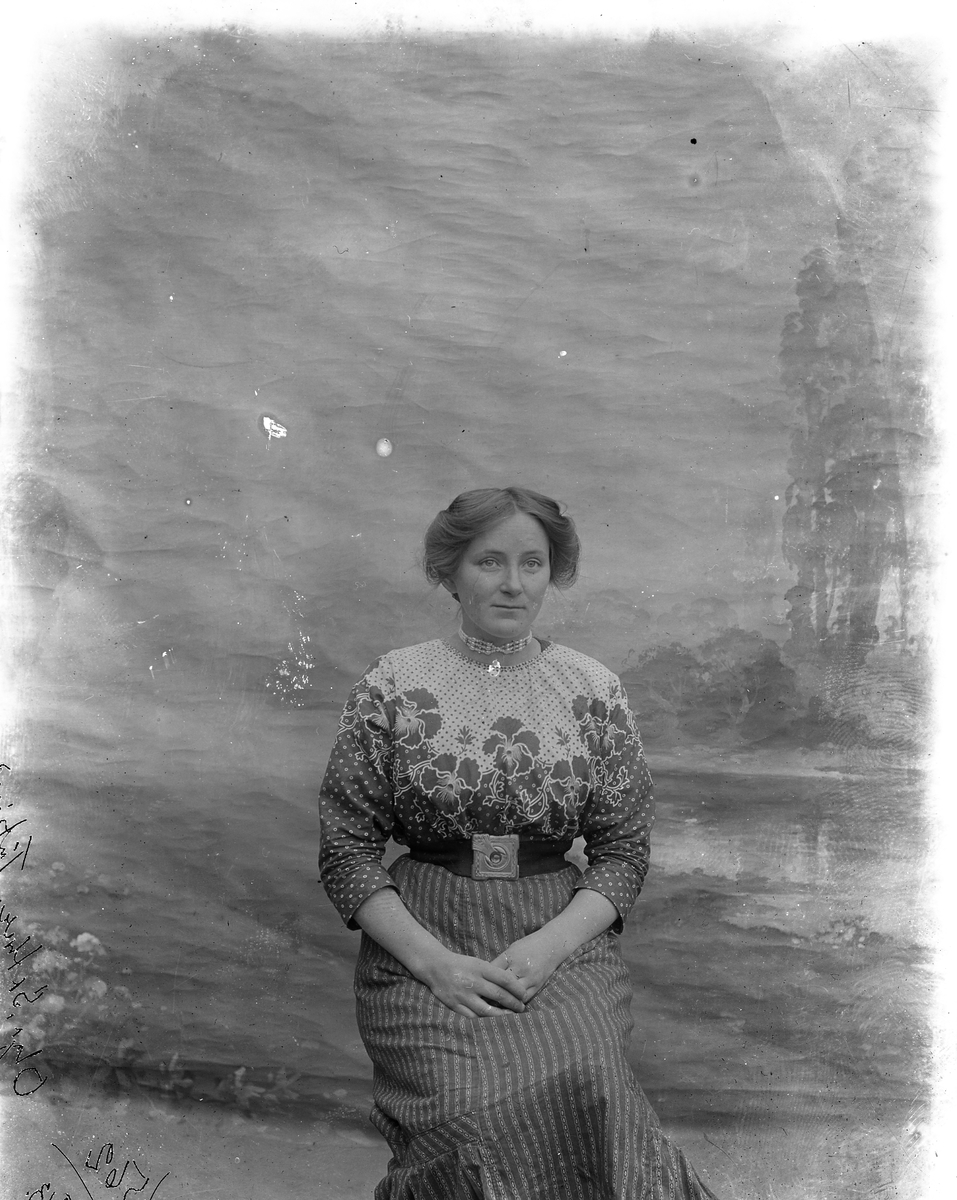 Peder J. Bredalslien, portrett, dame, kjole, klær,