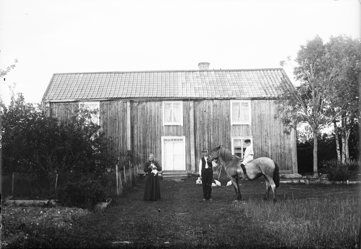 Skötsner-Edhlund, Familjen Erikssons gård i Snesslingekulla, Börstils socken, Uppland omkring 1910