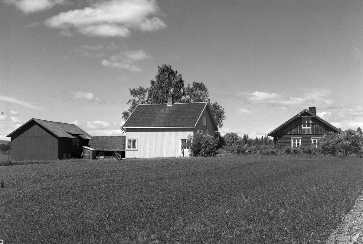 Anno Domkirkeodden, EKSTR: GARDSTUN, AARVOLD. Se Løtenboka, bind 2. Bygdeboka fra 1953, side 702