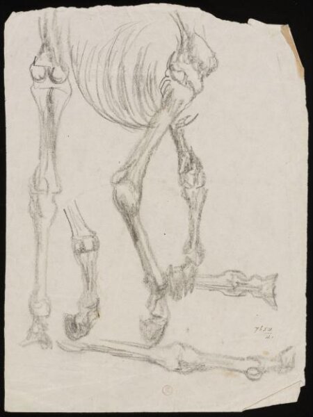 William Etty, Drawing