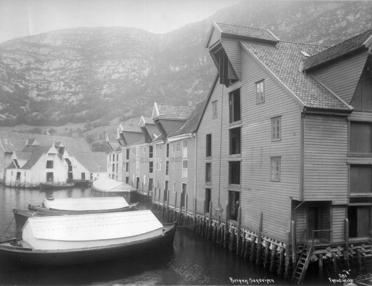 Anders Beer Wilse, Topografi, Ssandviken
